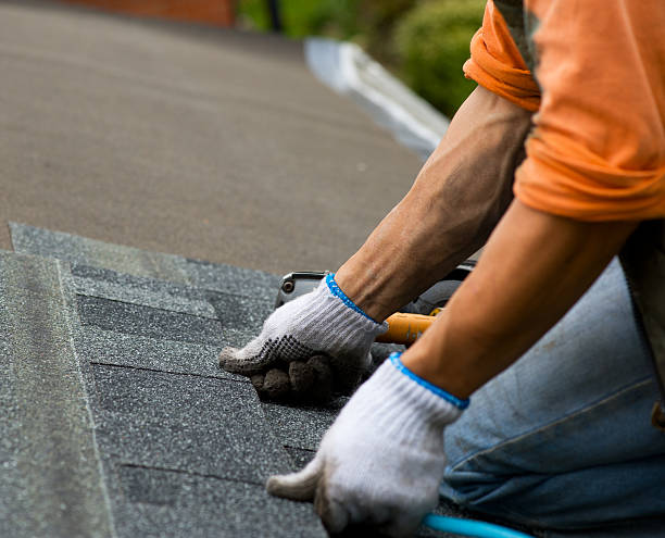 Best Storm Damage Roof Repair  in Auburn, NY